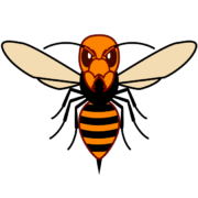 スズメバチ 鋭い目つきで怒っているスズメバチのイラスト