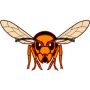 急襲 前方から向かってくるスズメバチのイラスト