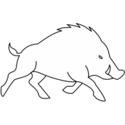 猪突進注意04 猪の突進危険「注意喚起サイン」のイラスト・図は白ベタに黒線縁取り