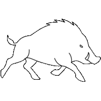 猪の突進危険「注意喚起サイン」のイラスト・図は白ベタに黒線縁取り