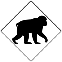 野生の猿に用心「注意喚起サイン」のイラスト・白色地に黒枠線、図は黒