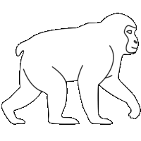 野生の猿に用心「注意喚起サイン」のイラスト・図は白ベタに黒線縁取り