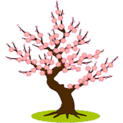 紅梅が咲き誇っている梅の木のイラスト