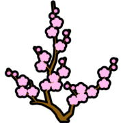 太めの縁取りでデザインされた、ピンク色の梅の花と枝の和風アイコン素材