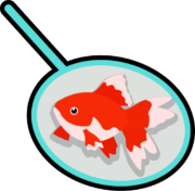 お祭りや夜店の金魚すくいのアイコン