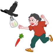 バーゲンで買った格安の食材をカラスに盗まれたお婆さんのイラスト