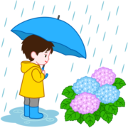 雨降りに傘をさしてアジサイの花を見つめている少年のイラスト