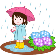雨の中、傘をさした女の子がアジサイを見ているイラスト