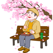 一人花見（ソロ花見）を楽しんでいる老人のイラスト