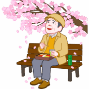 一人花見（ソロ花見）を楽しんでいる老人のイラスト