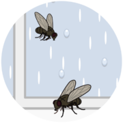 雨降りの窓辺を飛び回るうるさい蠅のイラスト
