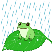 雨の日に蛙が葉の上で和んでいるイラスト