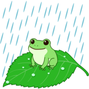 雨の日に蛙が葉の上で和んでいるイラスト