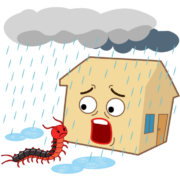 雨（梅雨）から避難するため人家に入ろうとしているムカデのイラスト