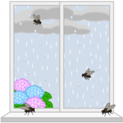 梅雨時に増えるうっとうしい蠅のイラスト