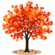紅葉したモミジ 鮮やかに紅葉したモミジの木のイラスト