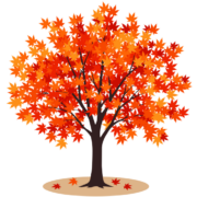 鮮やかに紅葉したモミジの木のイラスト